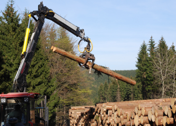 Forestry Sector code